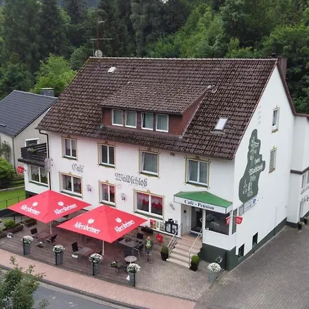 Maison d'hôtes Waldschloss 4*
