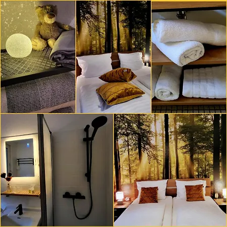 Maison d'hôtes Waldschloss 4*