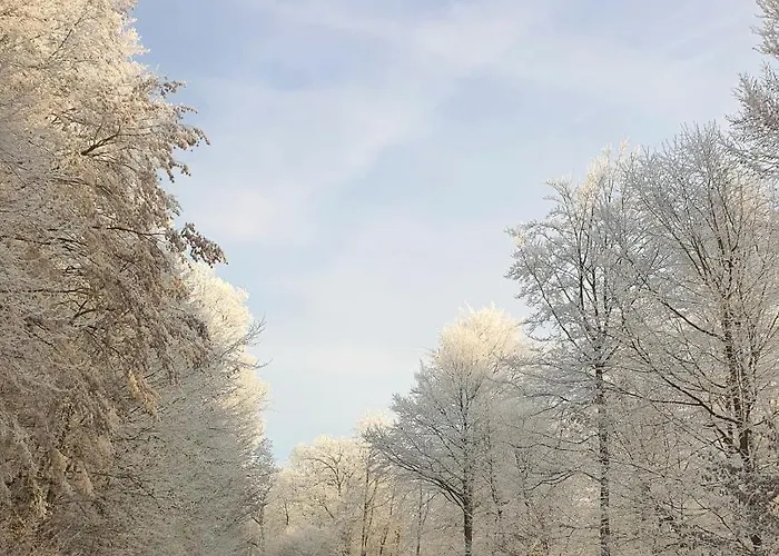 Waldschloss ホルツミンデン